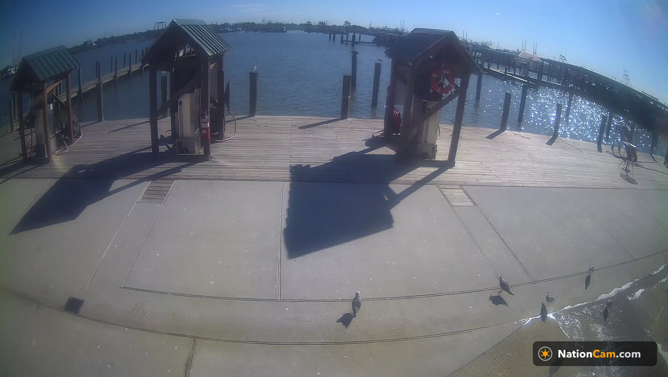 Venice Marina at 10:15 AM